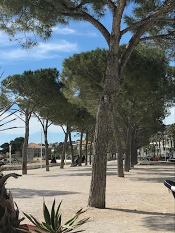 La Ciotat : Superbe Appartement Proche Du Port Bagian luar foto